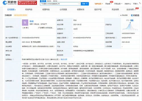 小米珠海橫琴新公司成立，跨界布局新能源汽車與數據處理服務